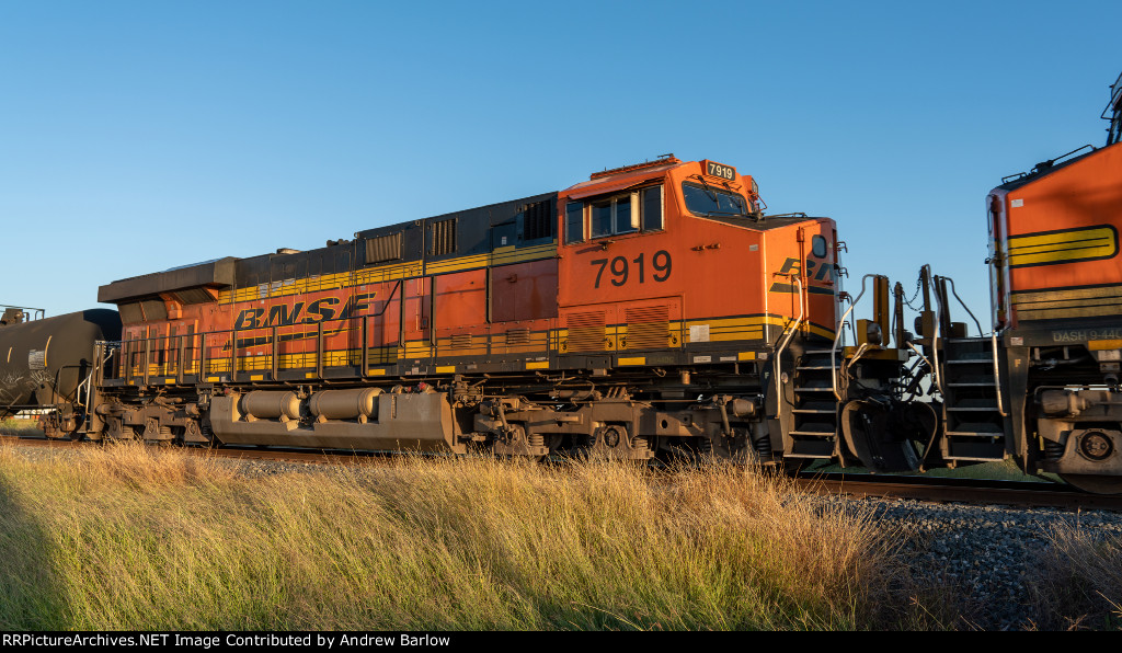 BNSF 7919